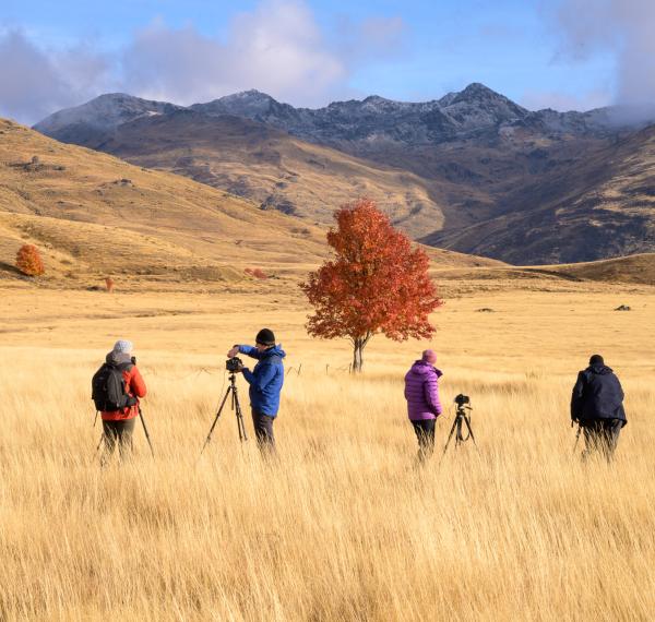  New Zealand Photography Workshops thumbnail