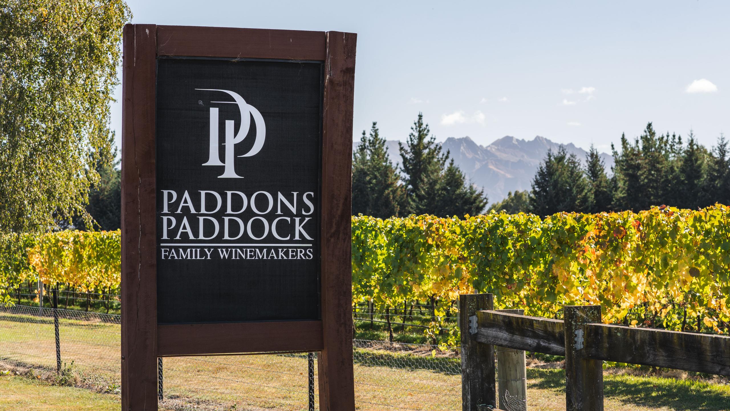 Paddons Paddock Stills Ray Tiddy 31 v2