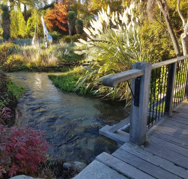  Bullock Creek Wanaka Wetlands Walk thumbnail