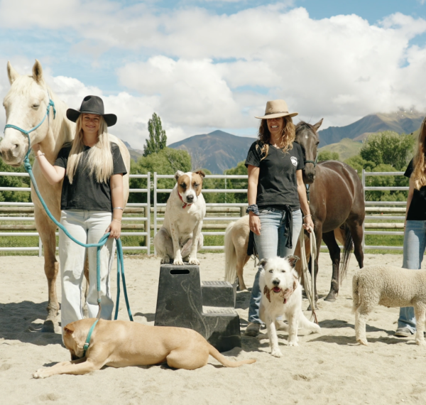  Kind Farm Animal Sanctuary thumbnail