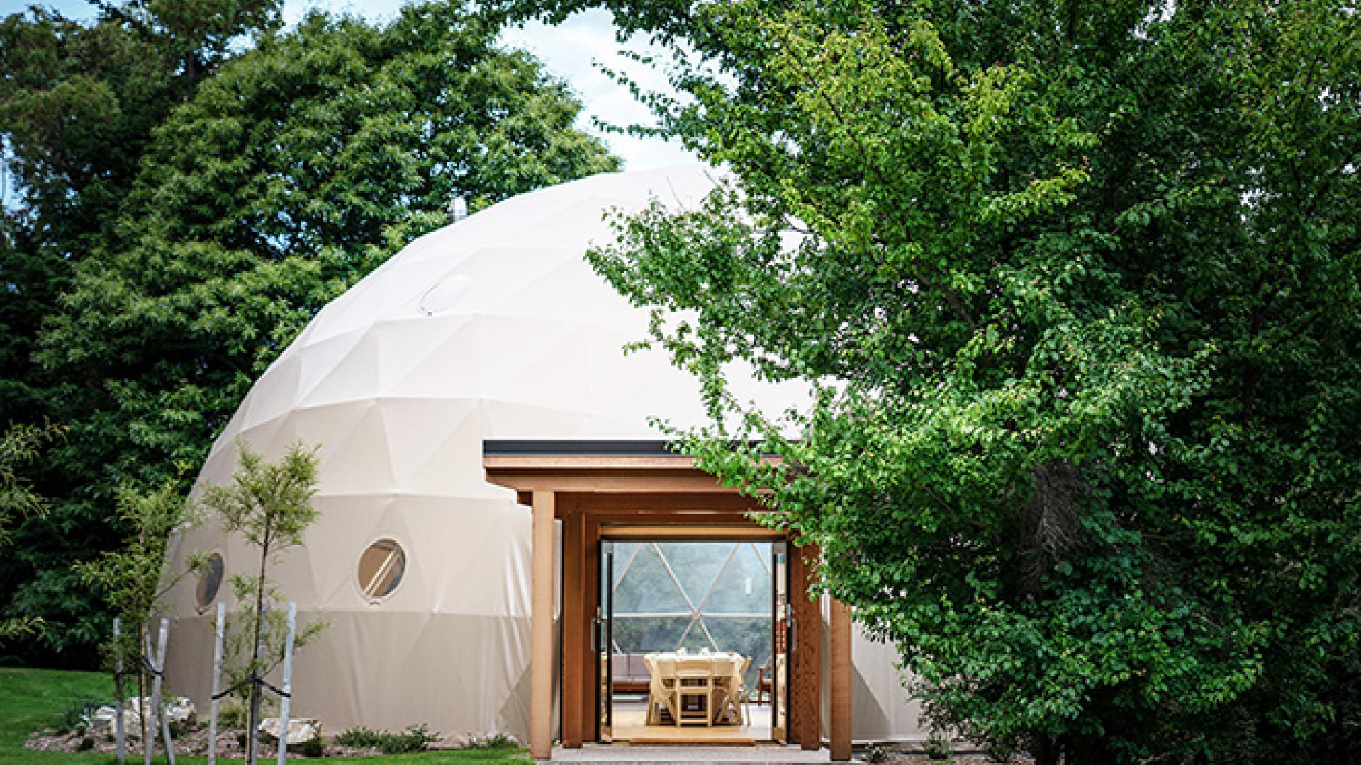 Retreatsnz Explore Wanaka Official Website