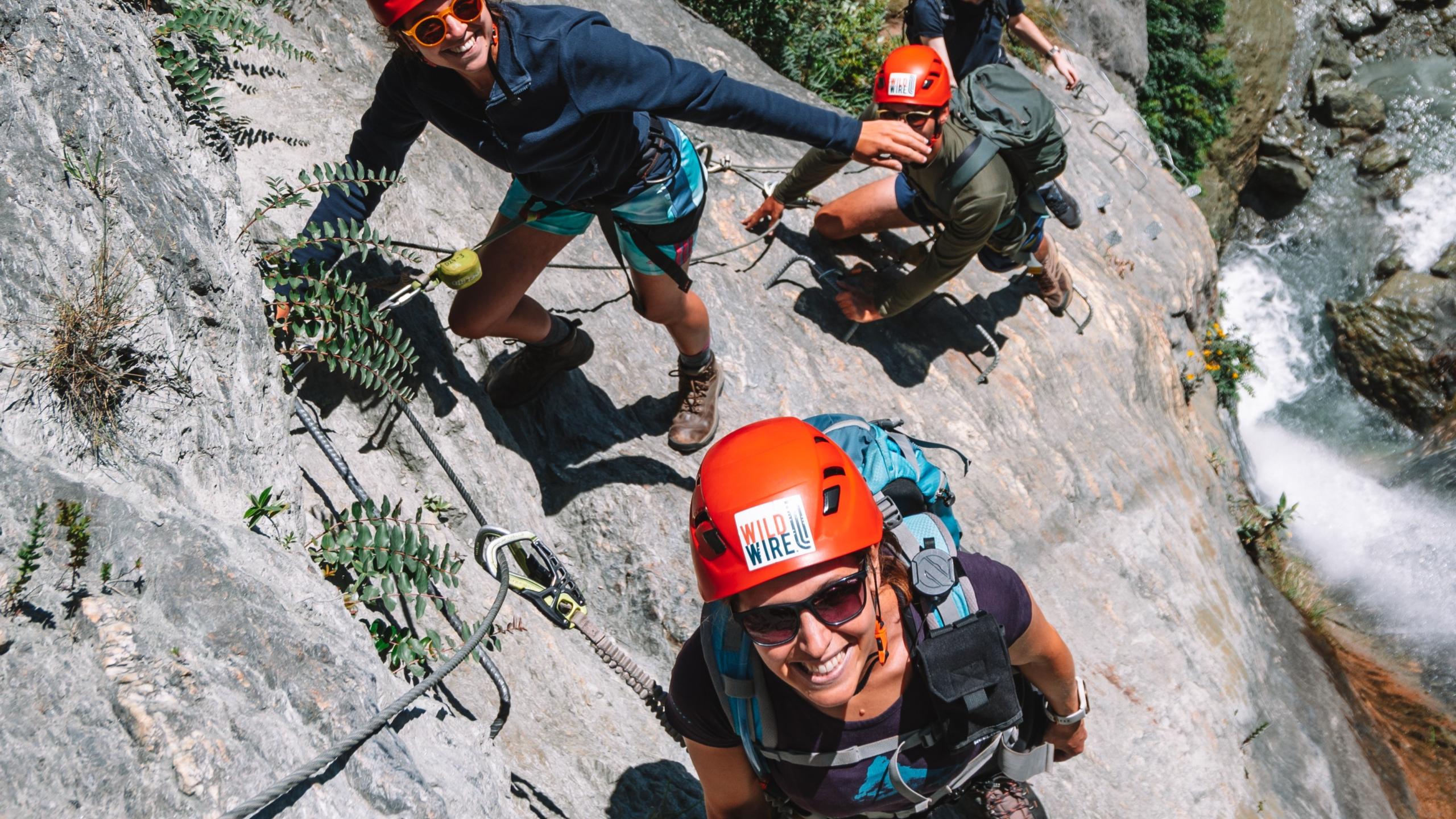 Wildwire Starting Level 2