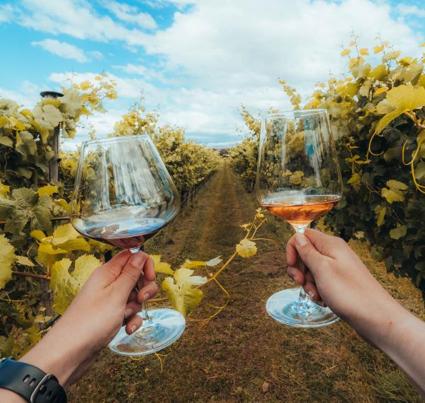  Wanaka Wine Tours thumbnail