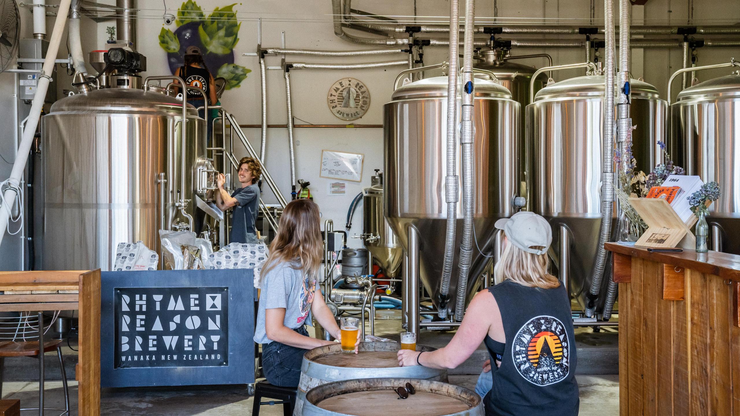 RxR Brewery Images + Dogs 4