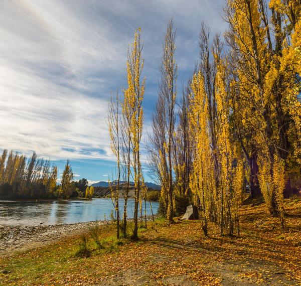  Albert Town Campground thumbnail