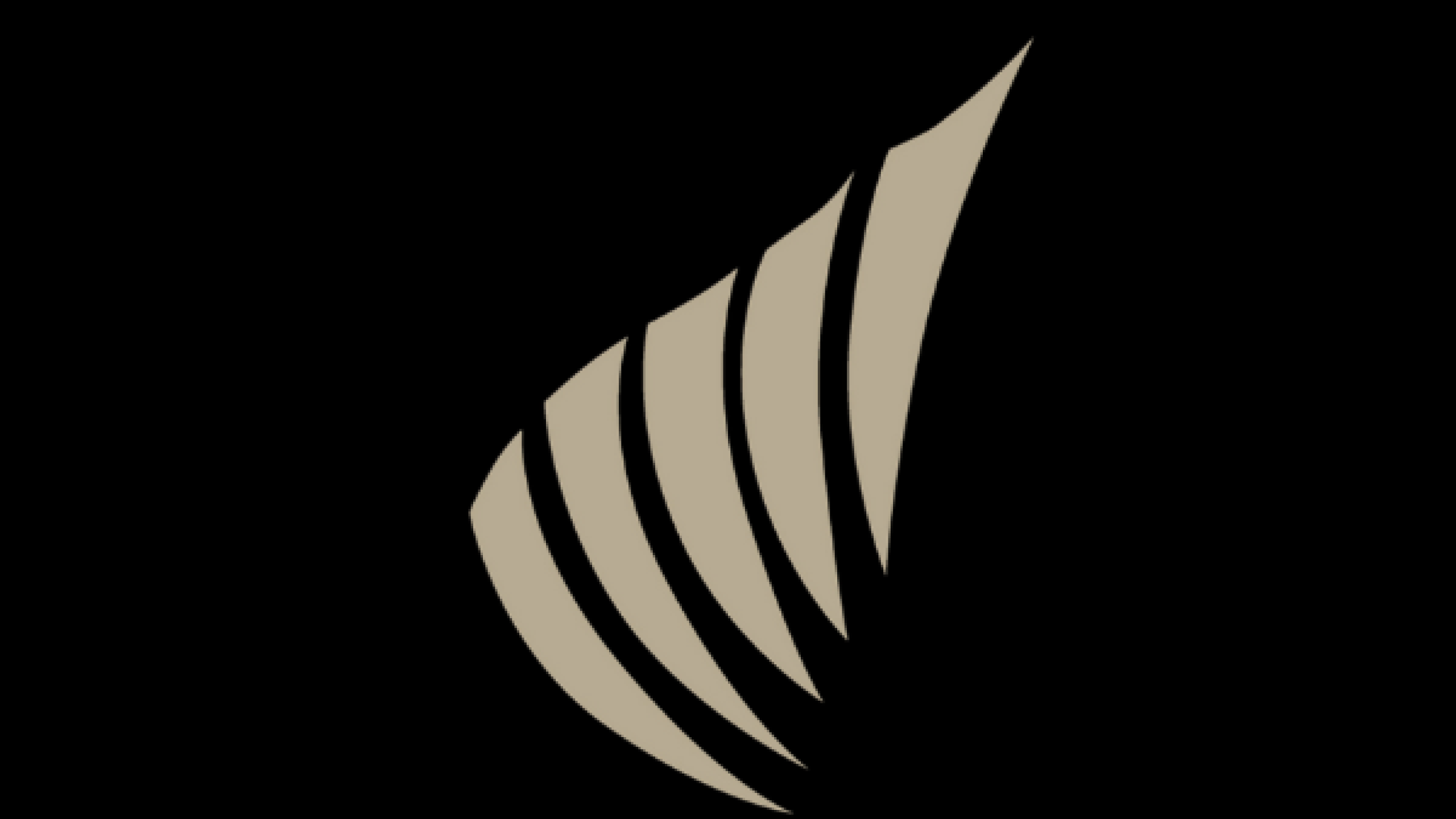 NZLE Logo Socials