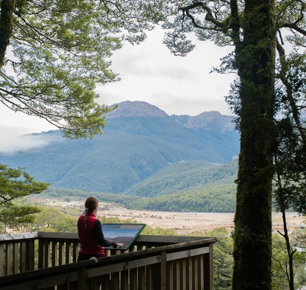  Cameron Lookout Walk thumbnail