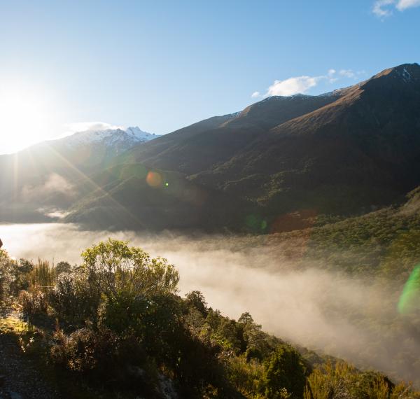  Haast Pass Lookout Track thumbnail
