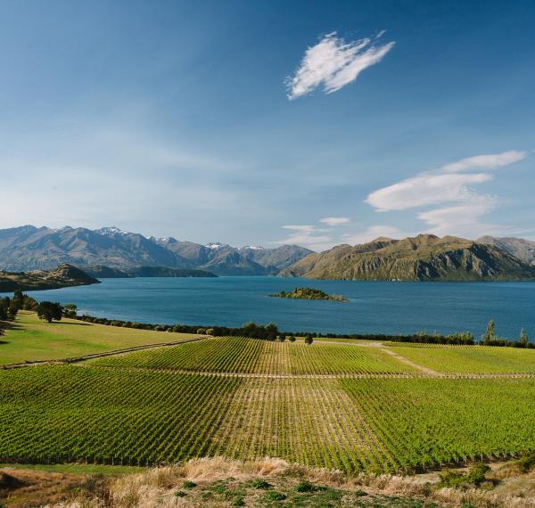  Rippon Vineyard & Hall thumbnail