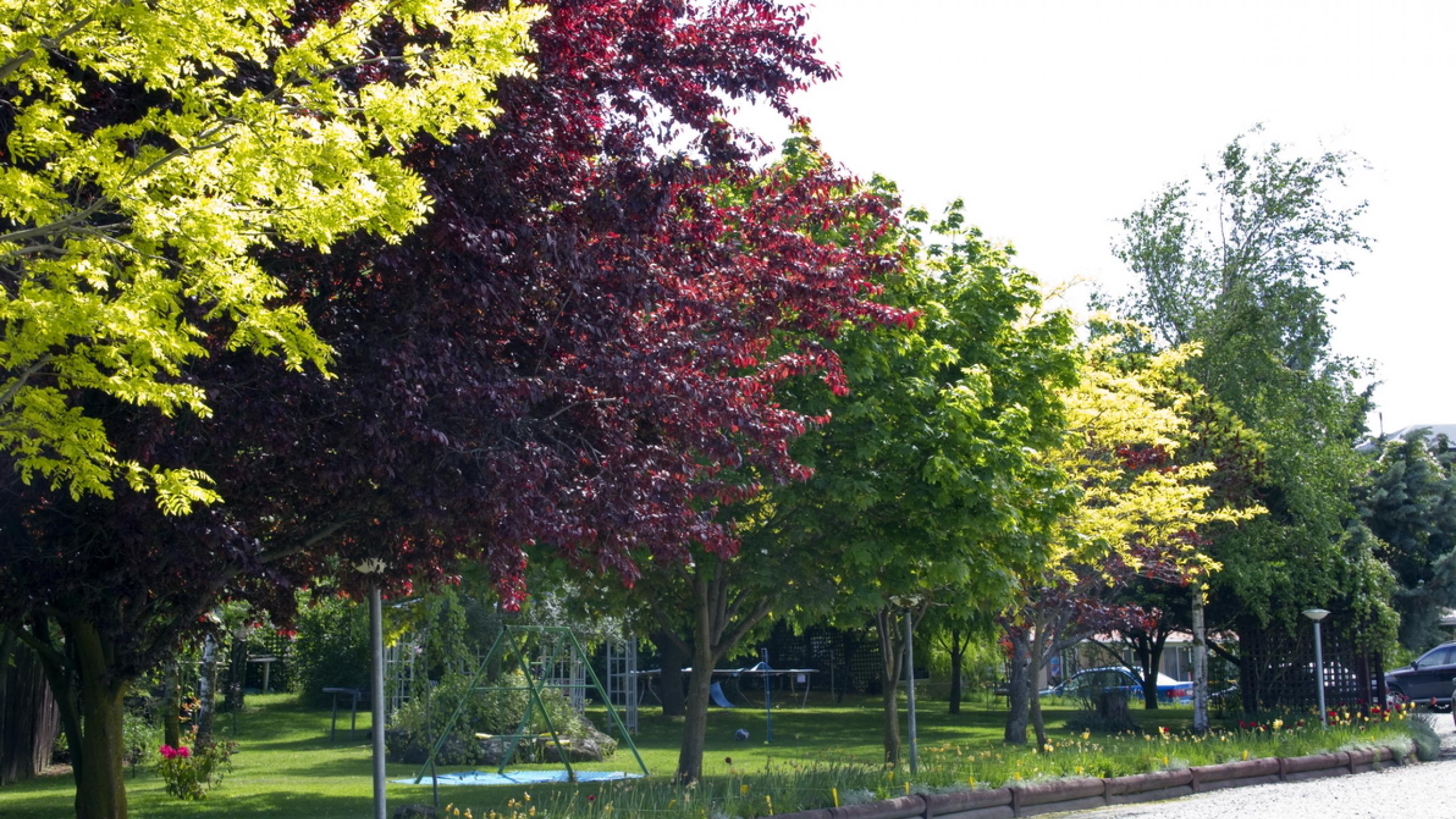 Archway Spring 09 resize