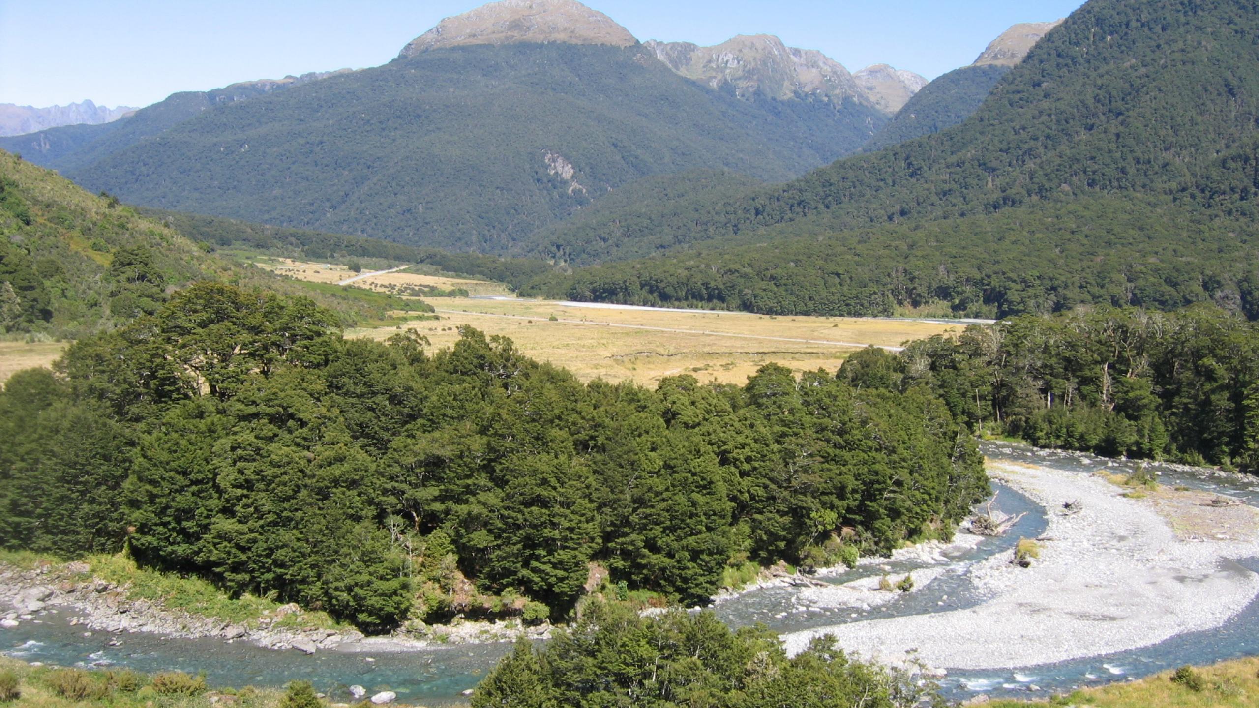 Cameron lookout 10