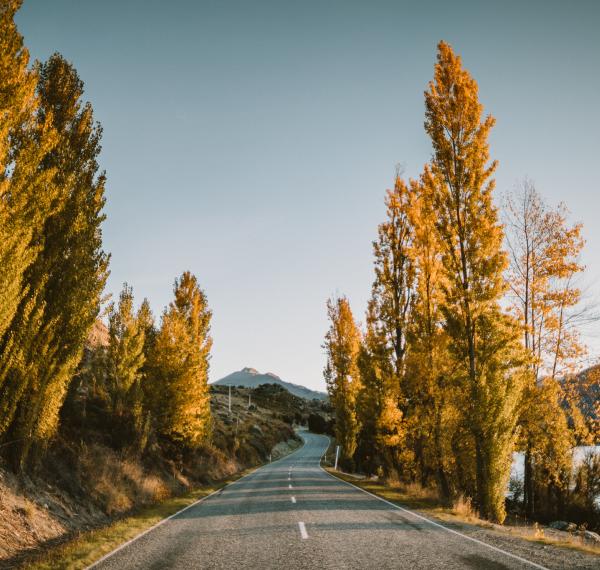  New Zealand Self Drive Tours thumbnail