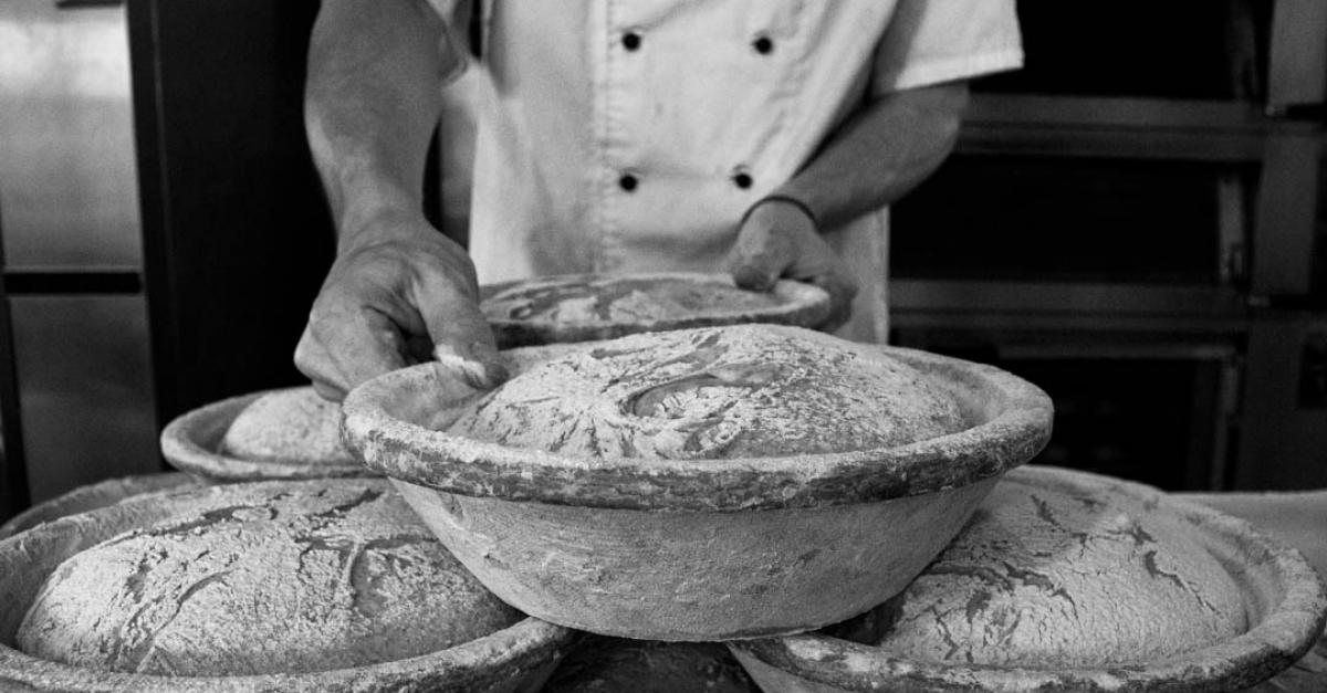Adam & Eves Bakery | Explore | Wanaka Official Website