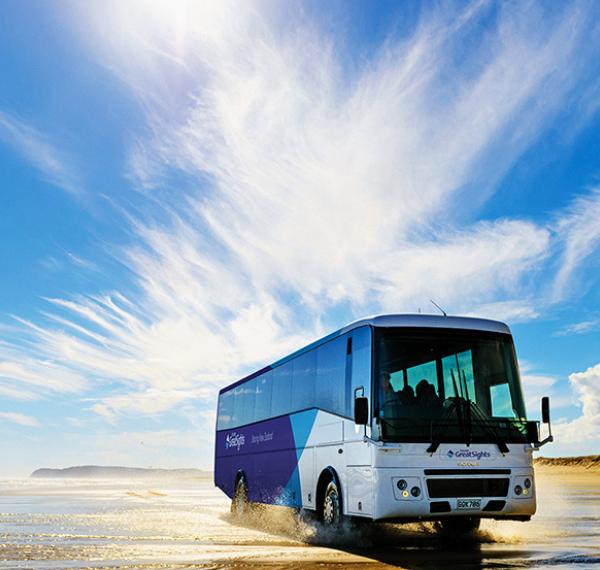  Thrifty Tours thumbnail