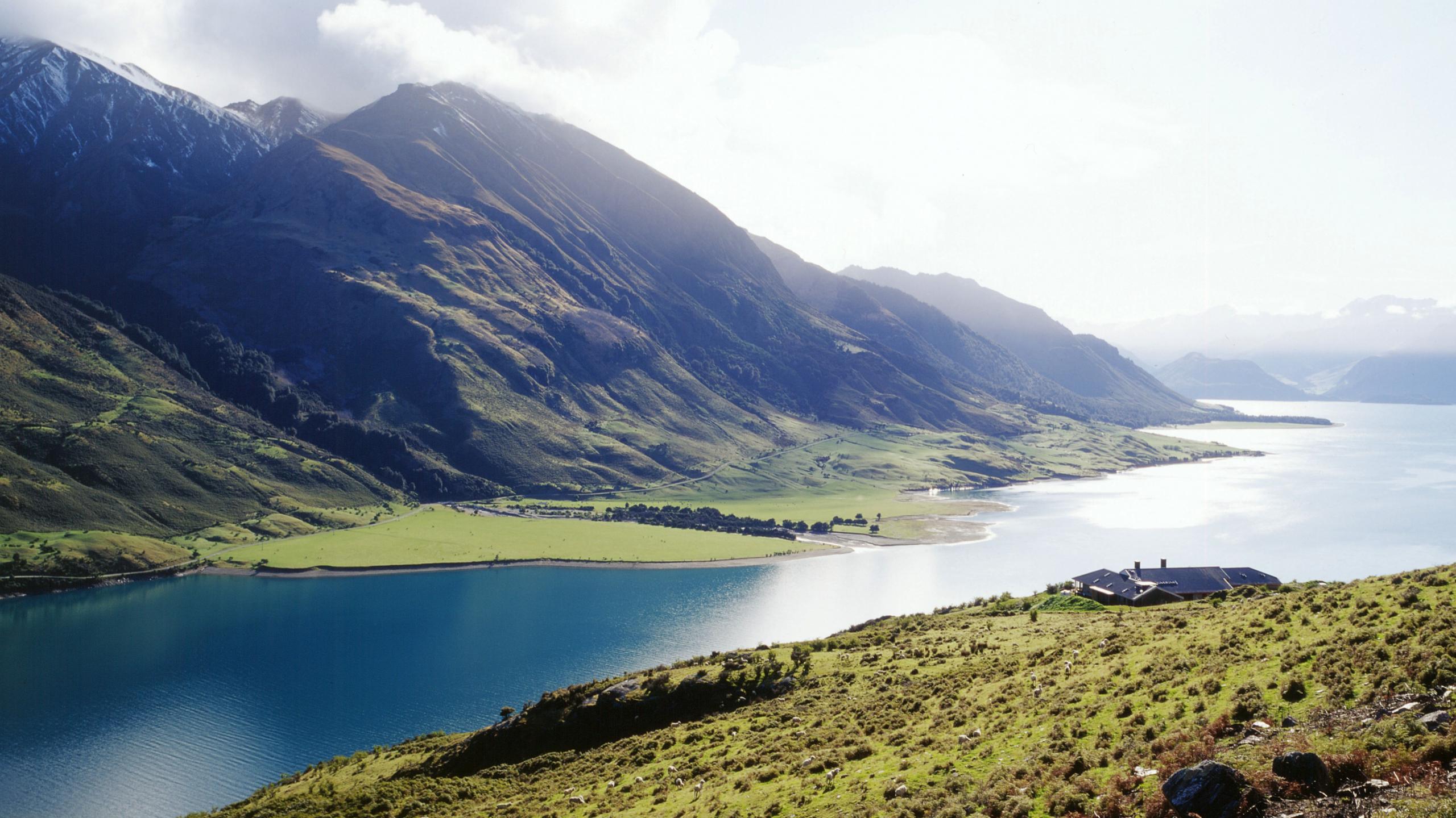 Silverpine Lodge The Neck Lake Hawea3