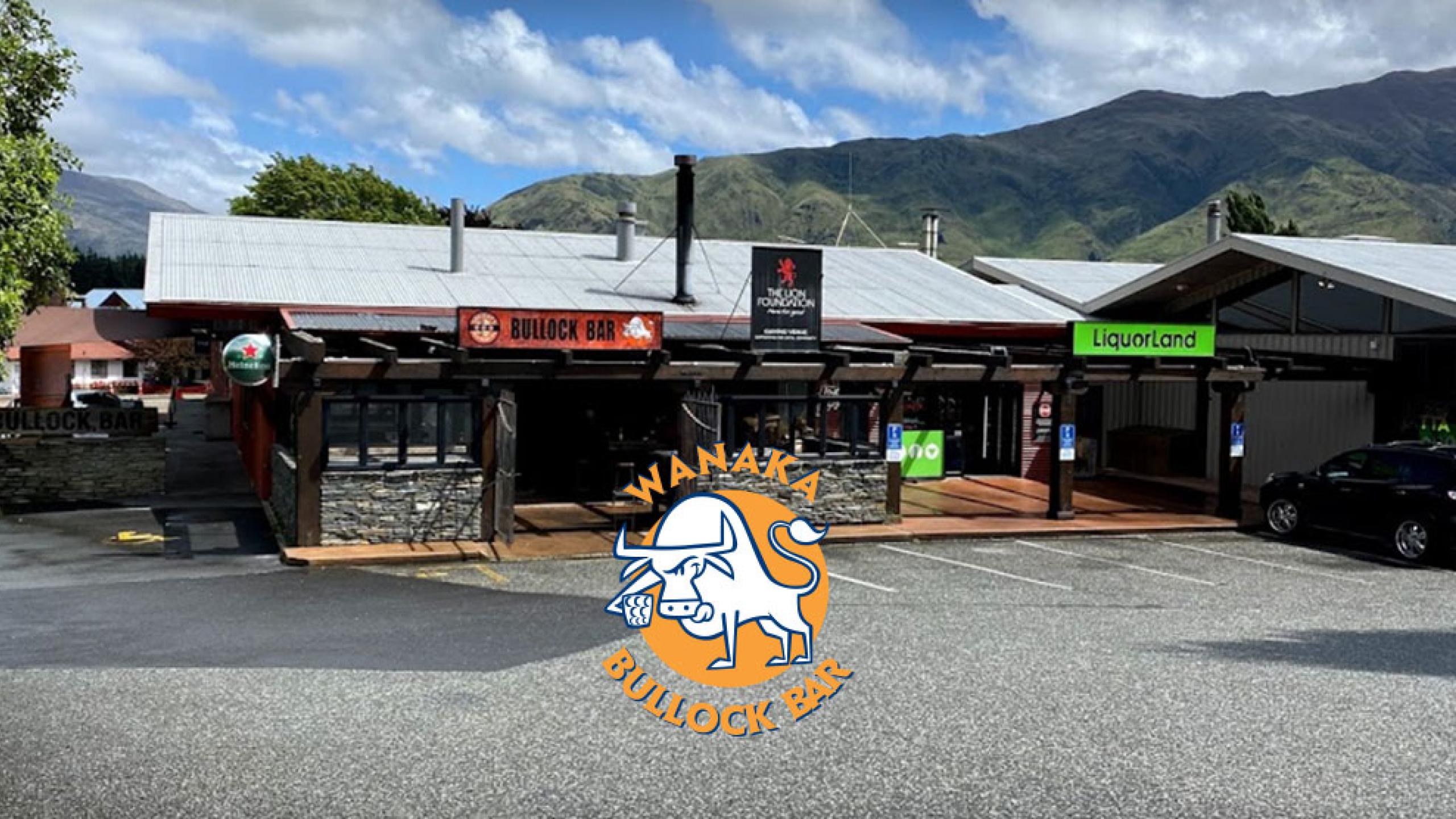 lovewanaka bullybar