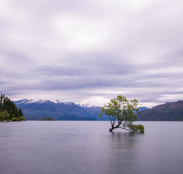  Wanaka Rentacar thumbnail