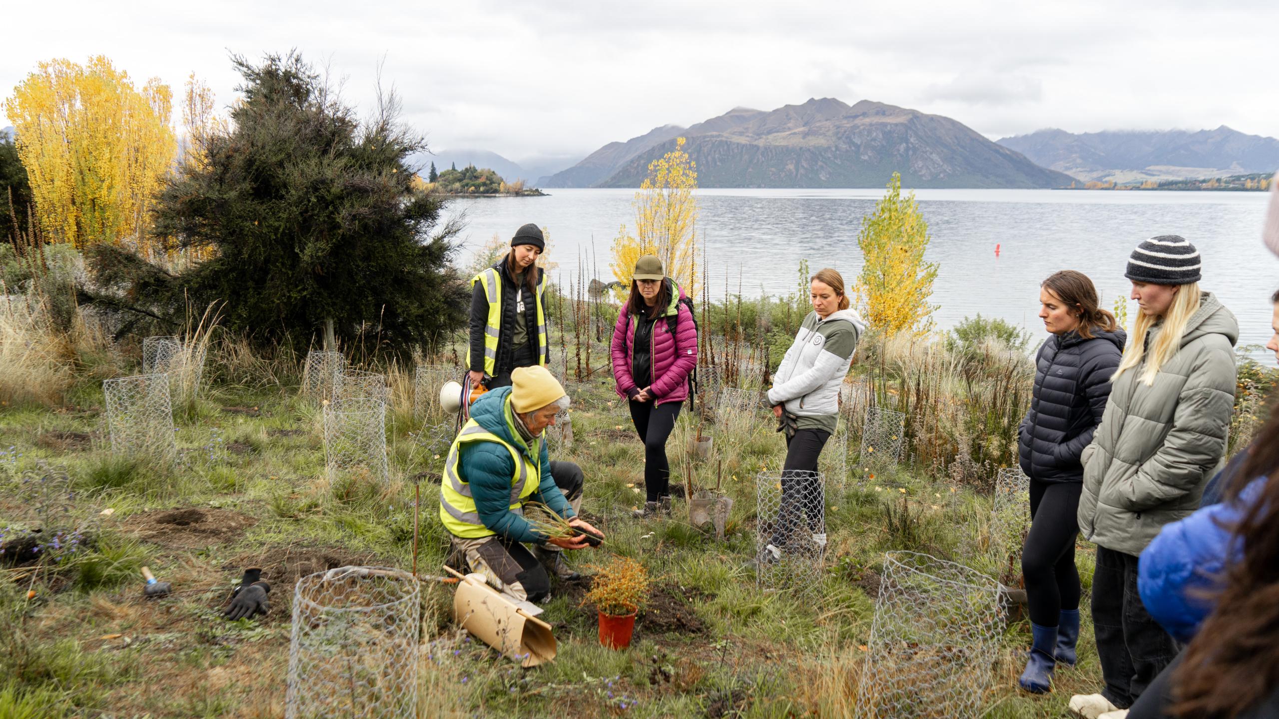  Volunteer: Community Planting Sessions with Te Kākano thumbnail
