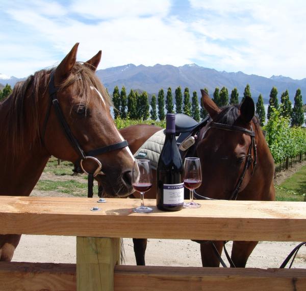  Waterfall Creek Equestrian Centre thumbnail