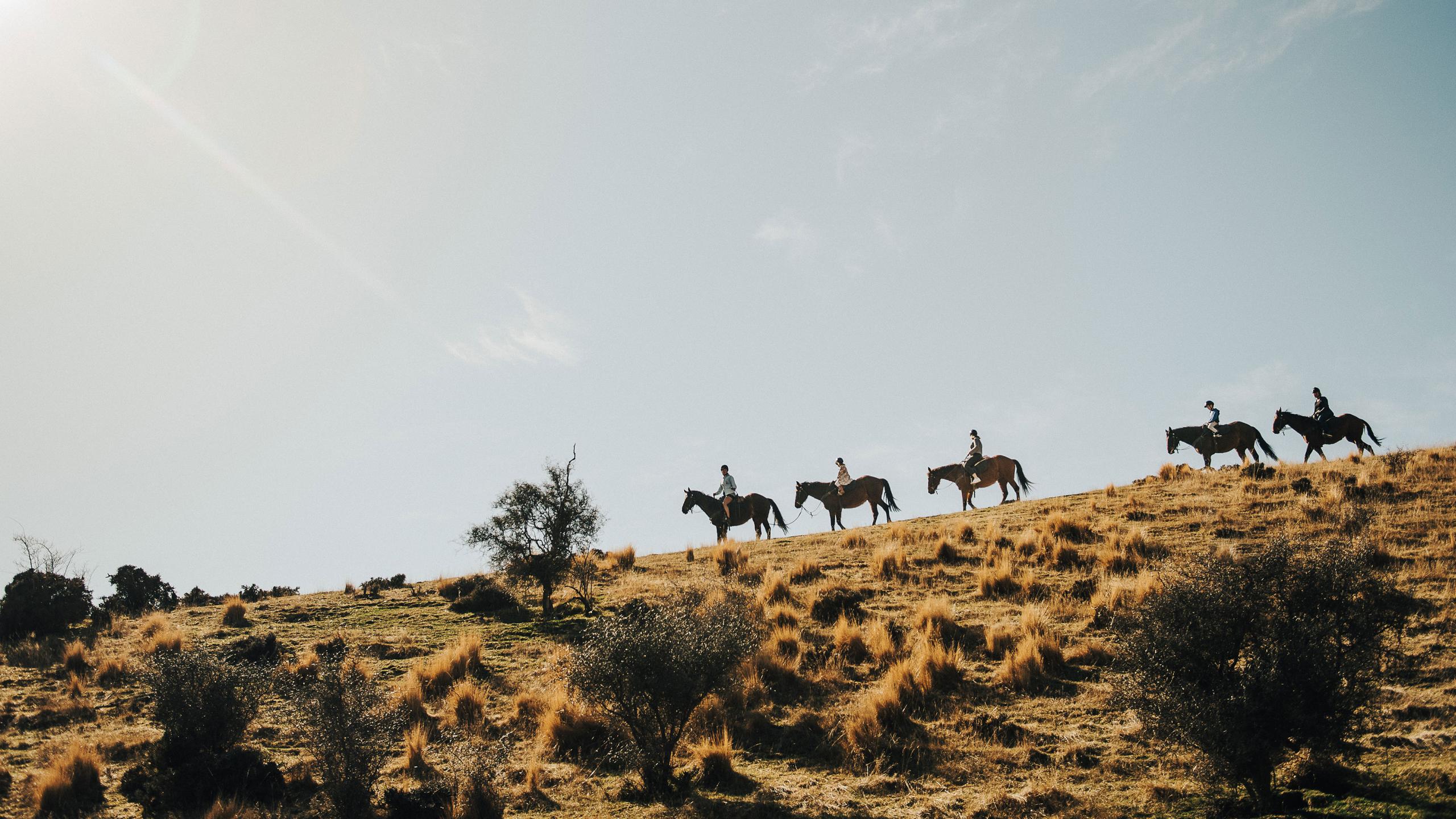 Wanaka The Cardrona horse ridgeline AndyBrown
