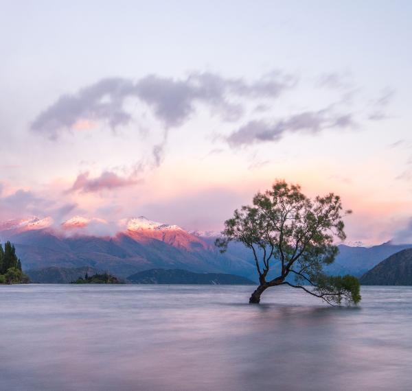  Wanaka Liquorland thumbnail