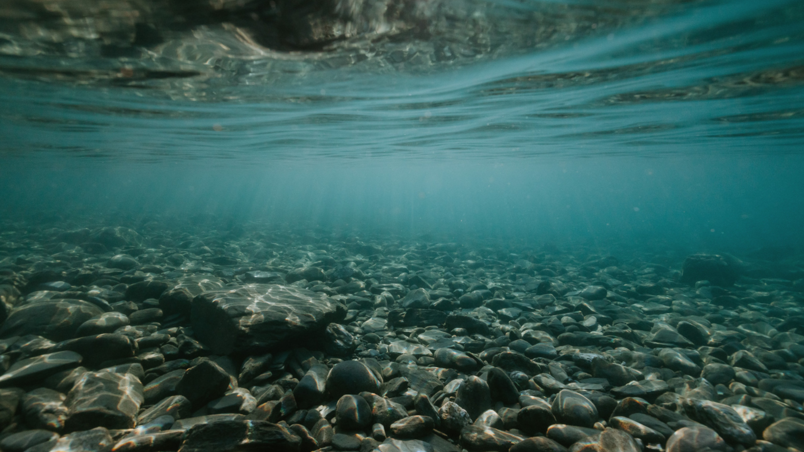 Alpine Lakes Forum 1