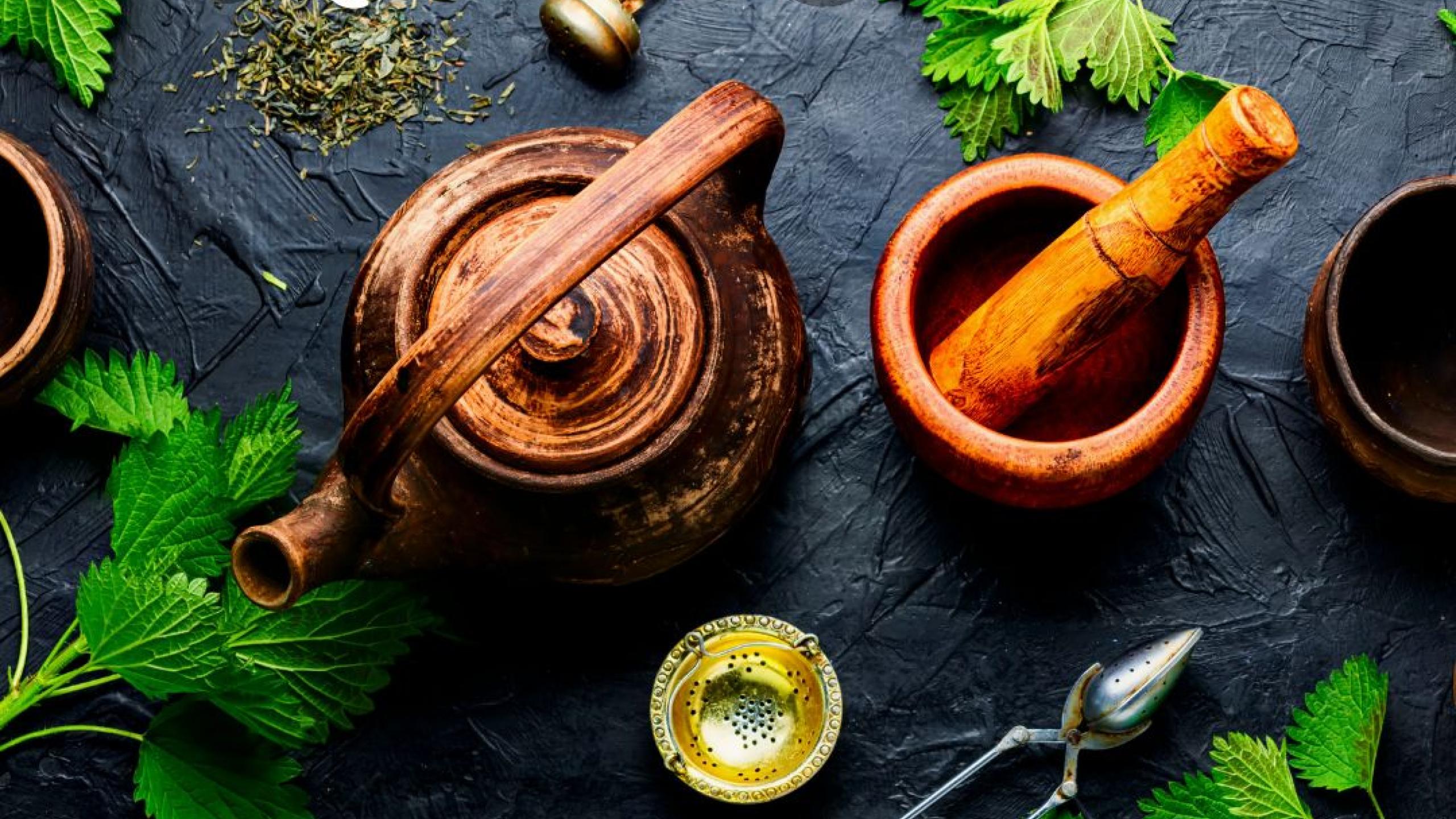  Herbal Culture Medicinal Plant Workshop and Fundraiser thumbnail