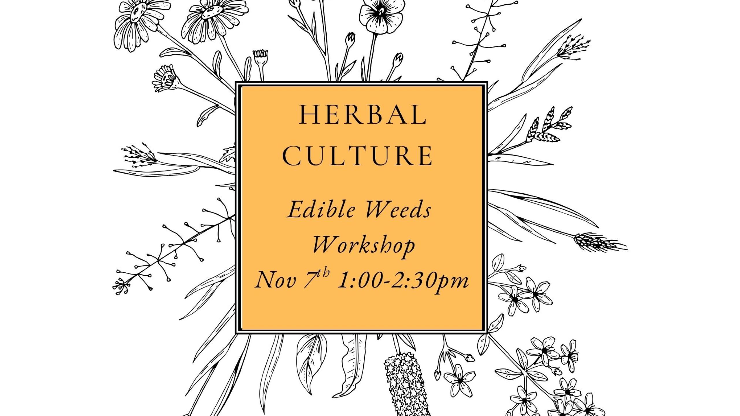  Herbal Culture Edible Weeds Workshop thumbnail