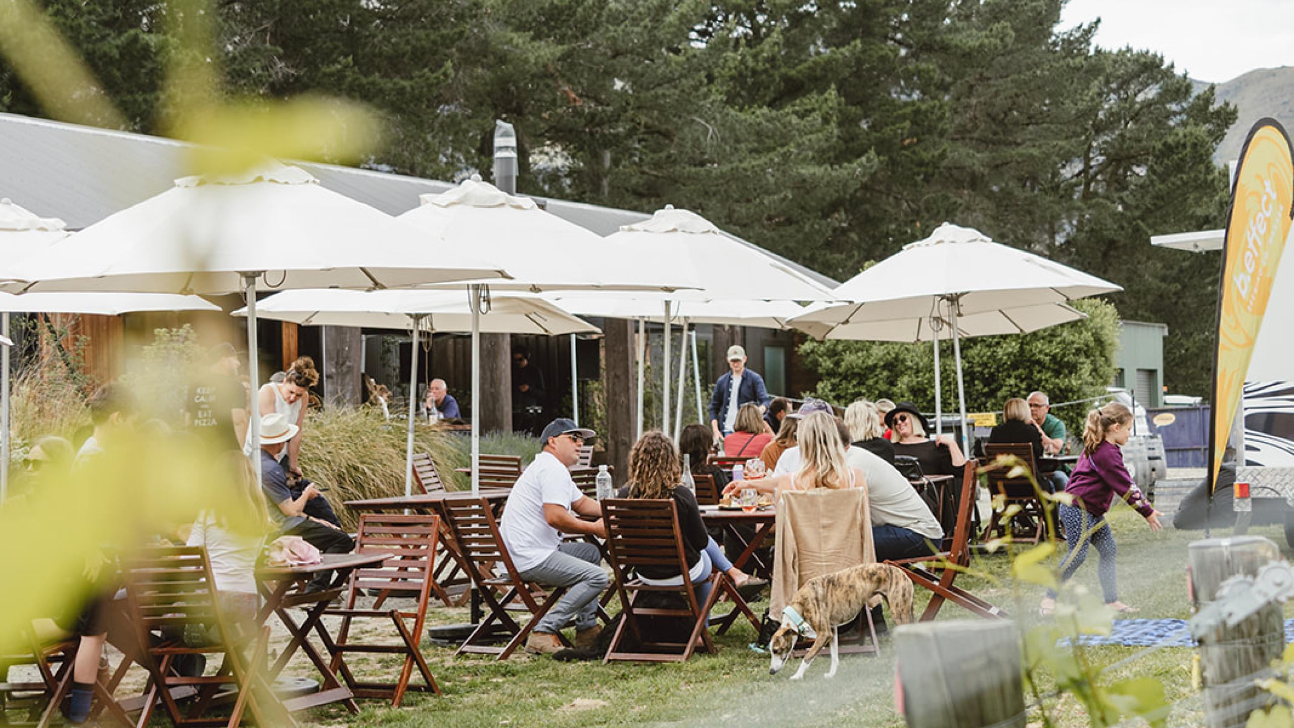  SUPER SUNDAY @ Nanny Goat Vineyard thumbnail