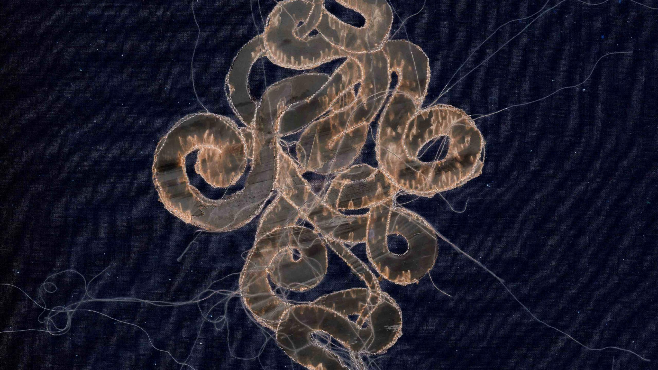  Kundalini Yoga - Tuesdays 6pm thumbnail