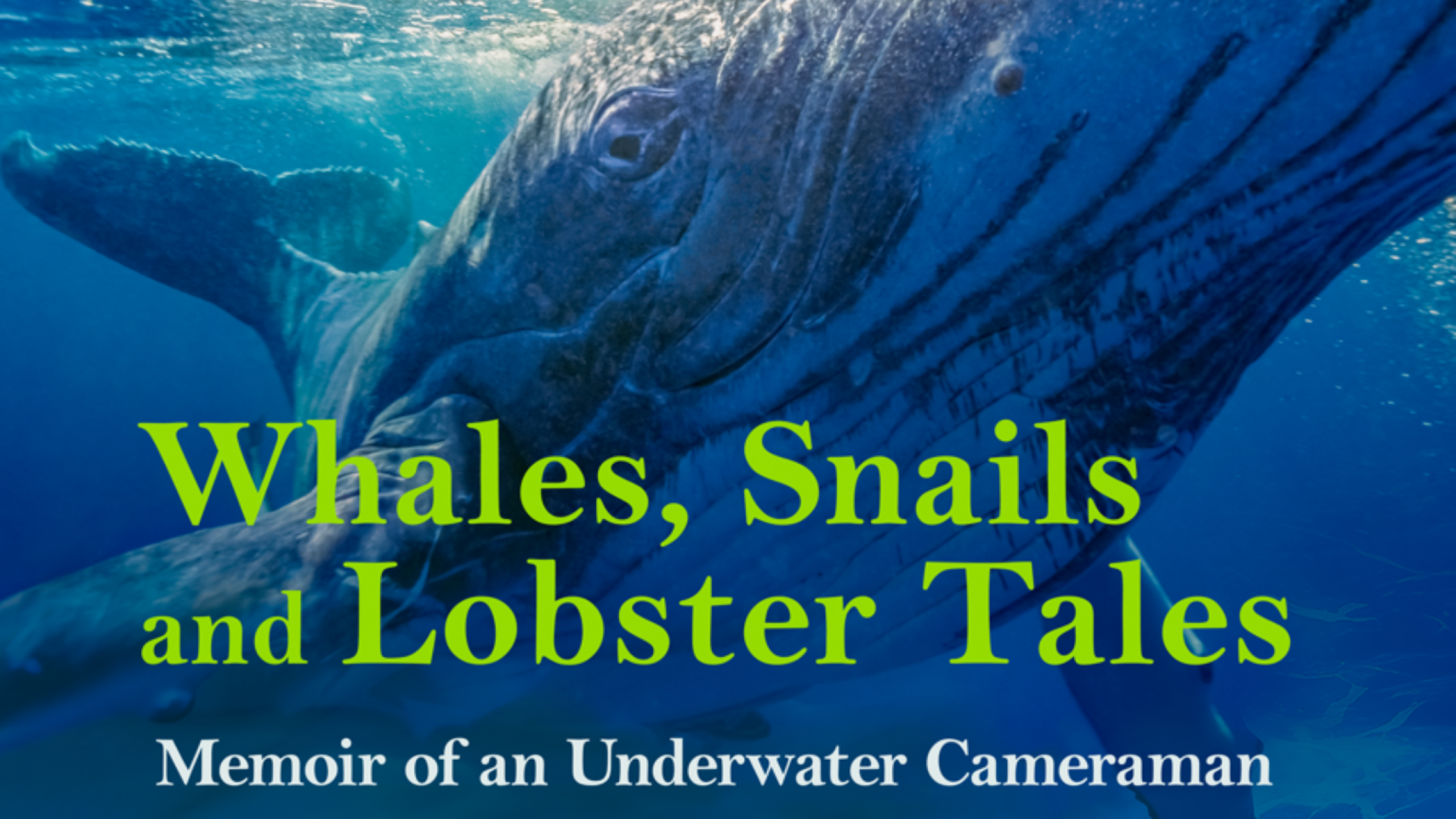  Book Launch - Whales, Snails and Lobster Tales thumbnail
