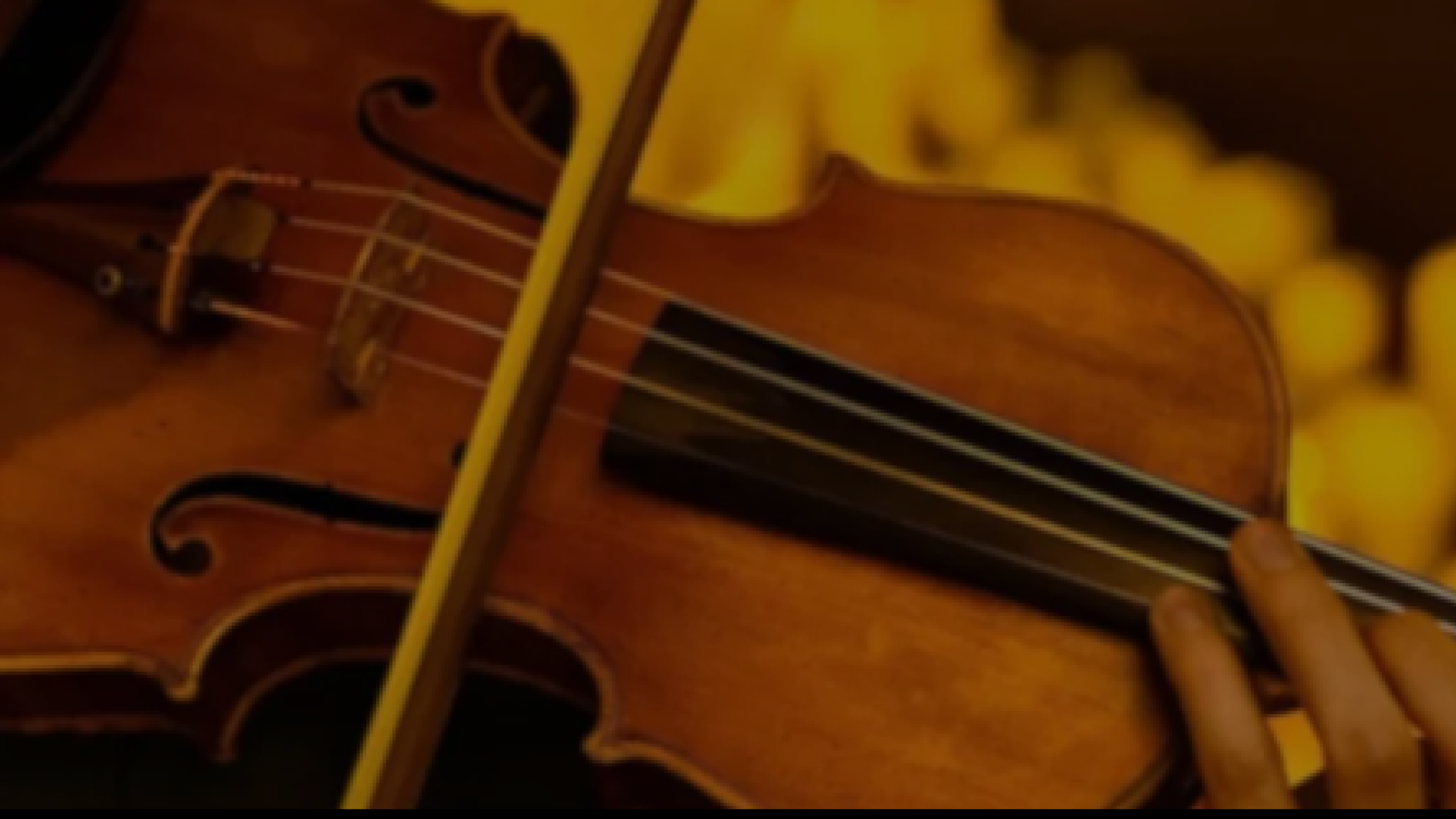 PMW Candlelight Strings