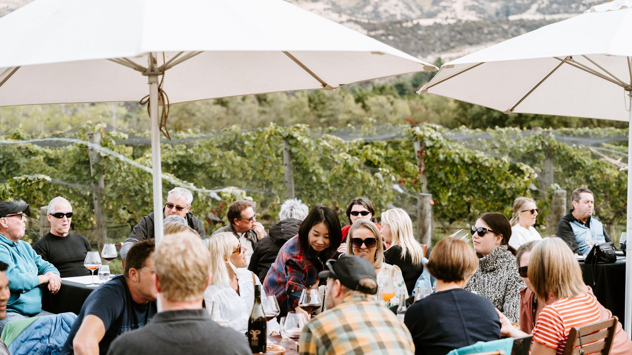  Super Sunday at Nanny Goat Vineyard thumbnail