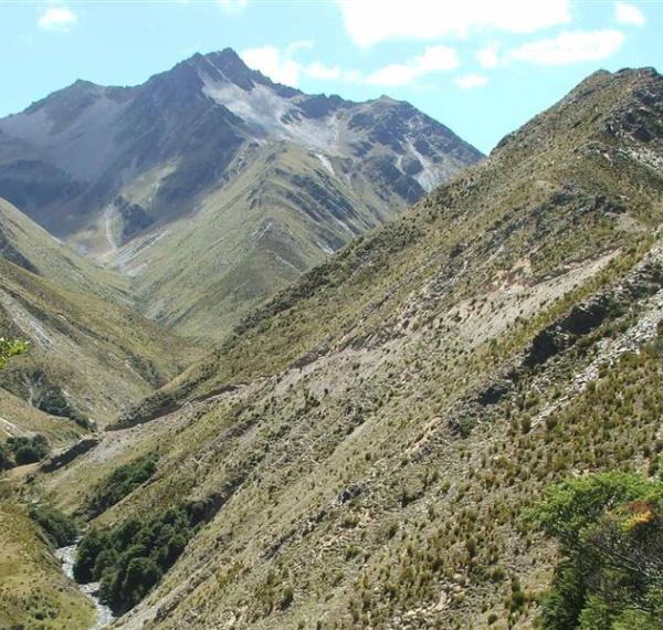  Timaru River Loop Track thumbnail