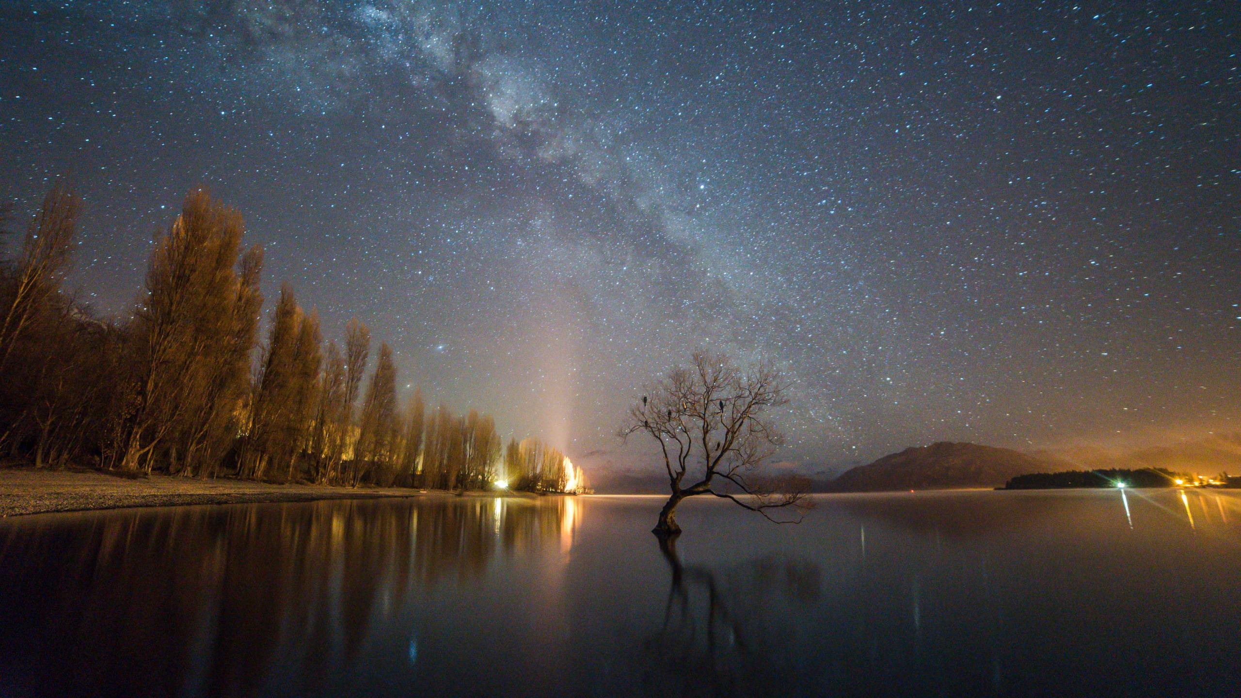thatwanakatree JL